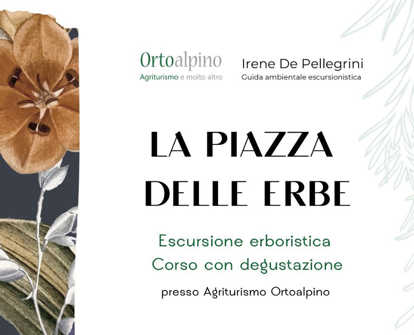 progetto senza titolo (37)