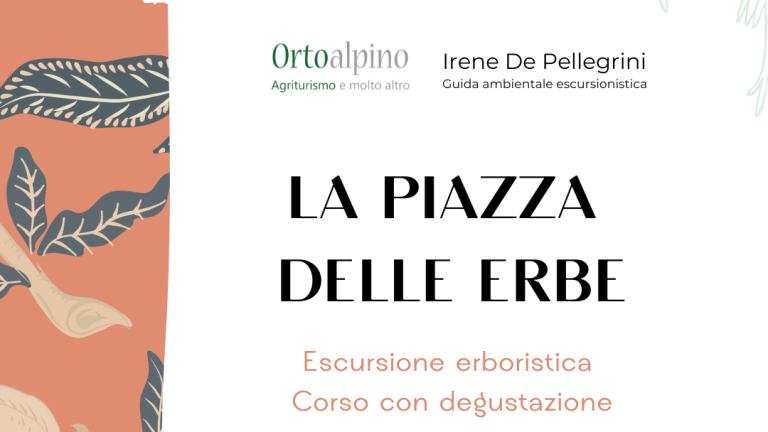 La Piazza delle Erbe