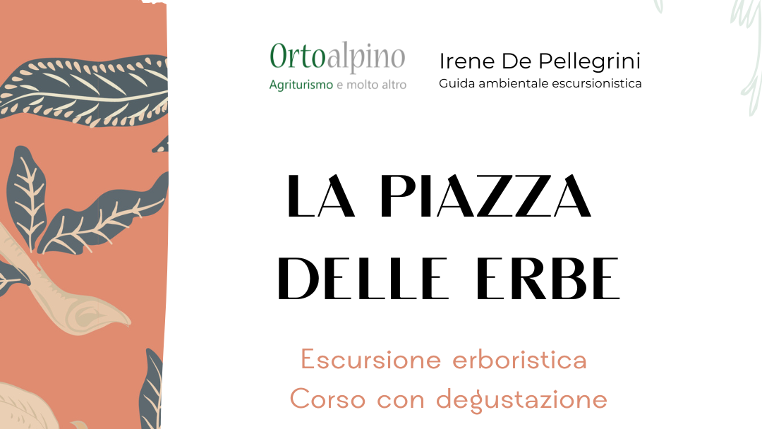 La Piazza delle Erbe