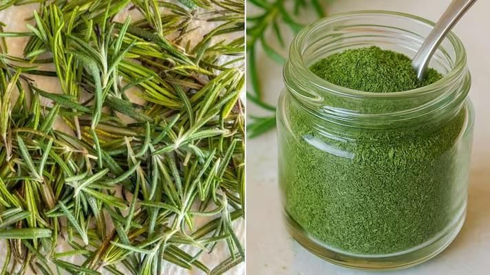 Erbe officinali, alimurgiche ed edibili: La natura a costo 0 – La polvere di Rosmarino